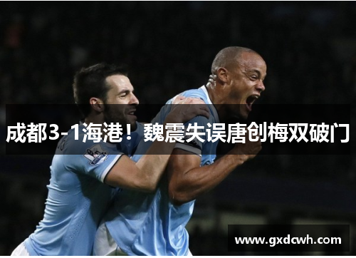 成都3-1海港!魏震失误唐创梅双破门 成都3-1海港!魏震失误唐创梅双破门