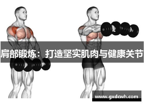 肩部锻炼：打造坚实肌肉与健康关节
