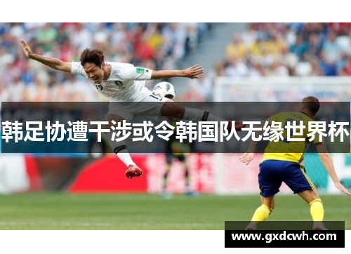 韩足协遭干涉或令韩国队无缘世界杯